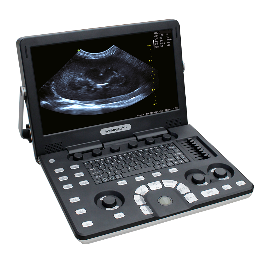 A5 004